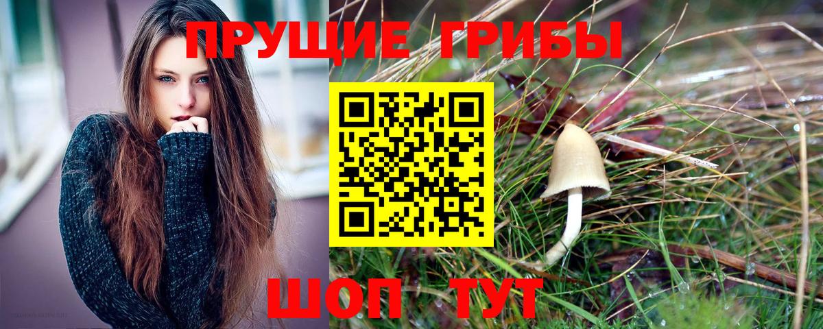 Галлюциногенные грибы Psilocybine cubensis Баксан
