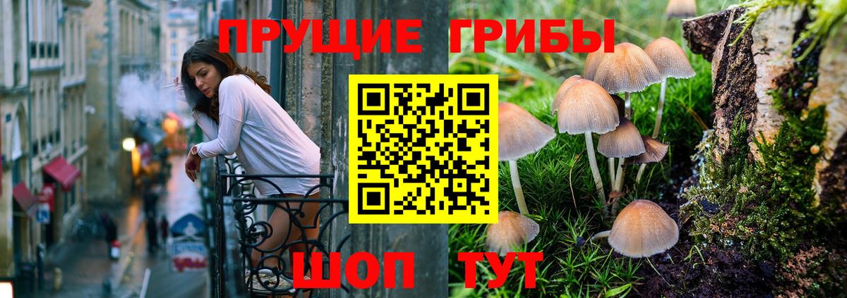 Баксан  Галлюциногенные грибы мухоморы  Псилоцибиновые грибы ЛСД  Вход с VPN 